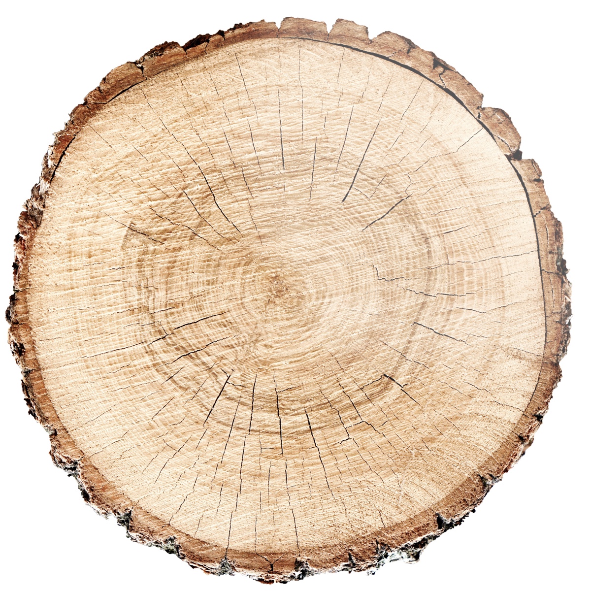 Responsible Timber